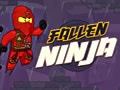 Fallen Ninja