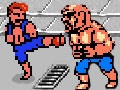 Double Dragon Flash Fighters
